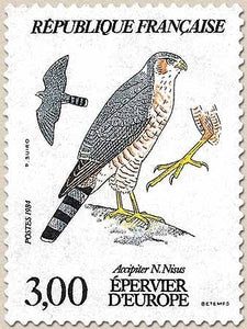 Faune et flore de France. Rapaces diurnes. Epervier d'Europe (Accipiter N. Nisus). 3f. Multicolore Y2339