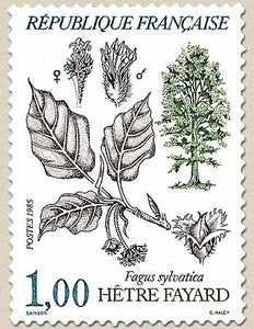 Flore et faune de France. Arbres Fagus sylvatica.  1f. Multicolore Y2384