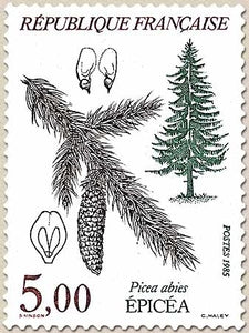 Flore et faune de France. Arbres Picea abies. 5f. Multicolore Y2387