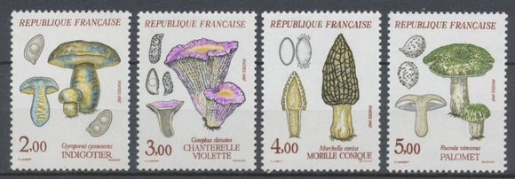 Série Flore et faune de France. Champignons. 4 valeurs Y2491S