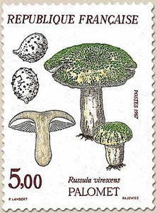 Flore et faune de France. Champignons. Palomet (Russula virescens) 5f. Vert, brun et noir Y2491