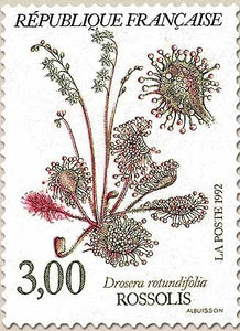 Série Nature de France. Fleurs des étangs et marais. Rossolis  3f. Multicolore Y2767